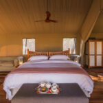 Luxury Tent_1