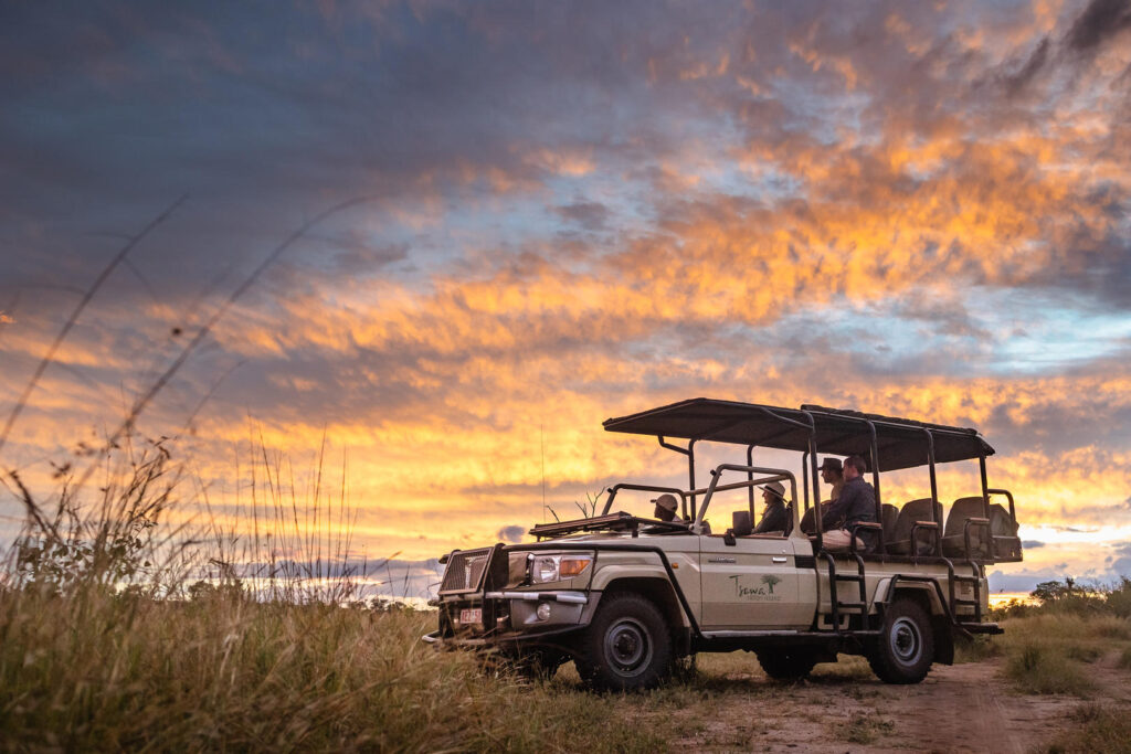 Sunset Game Drives
